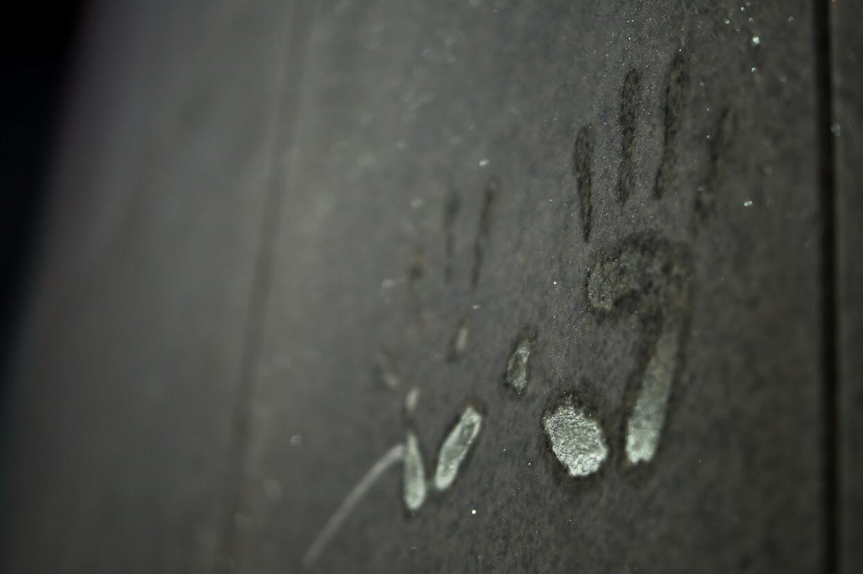 Фото: Елена Елизарова / It's My City