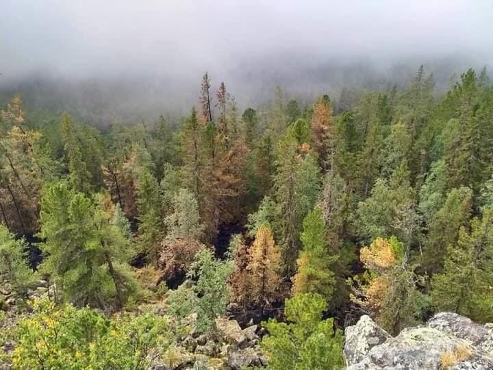 фото: пресс-служба заповедника 