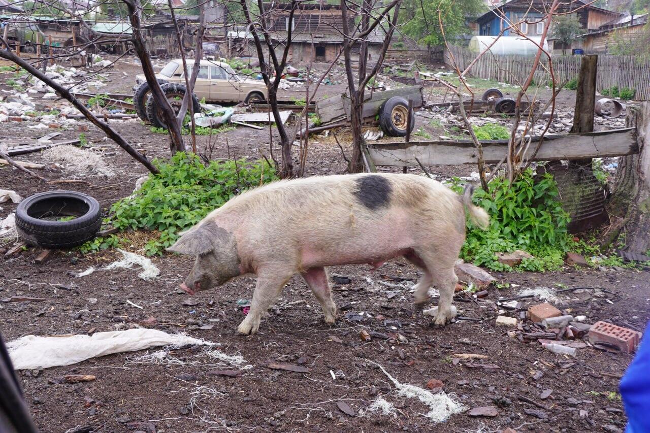 Фото: «Ревда-Инфо»