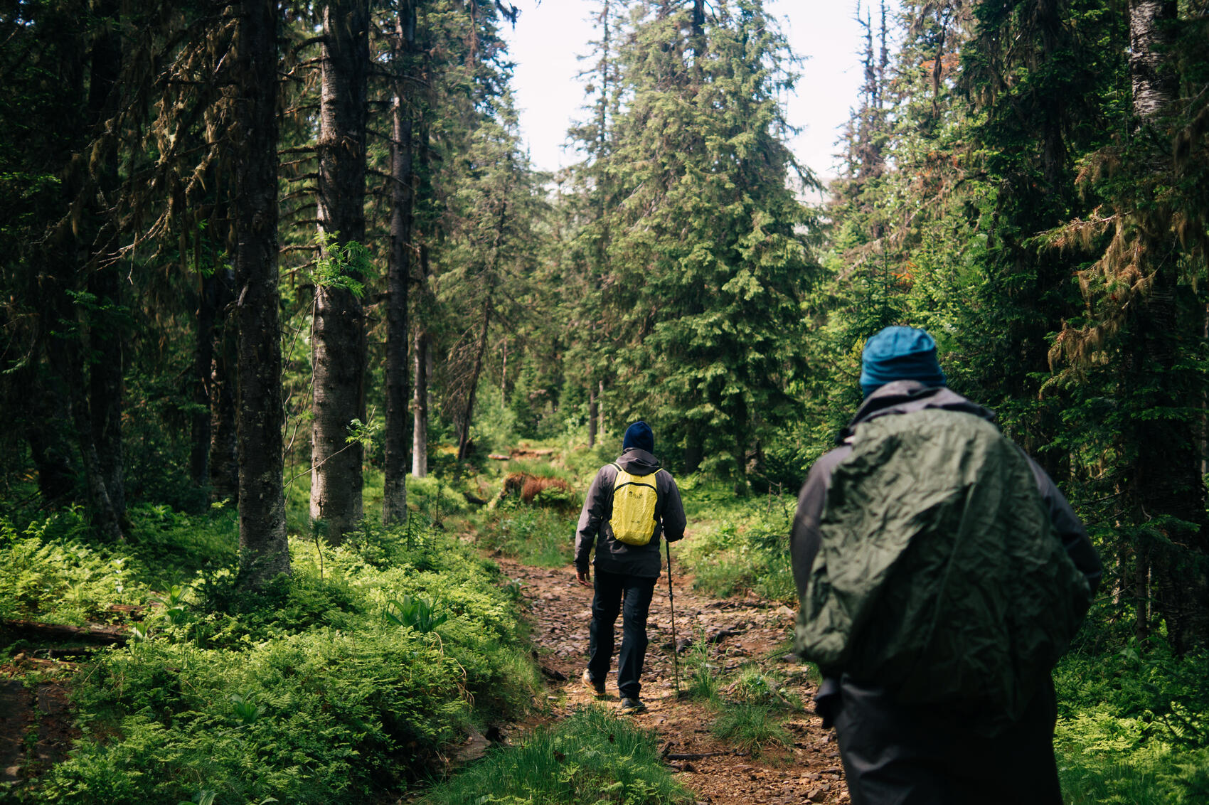 Фото: It’s My&nbsp;City