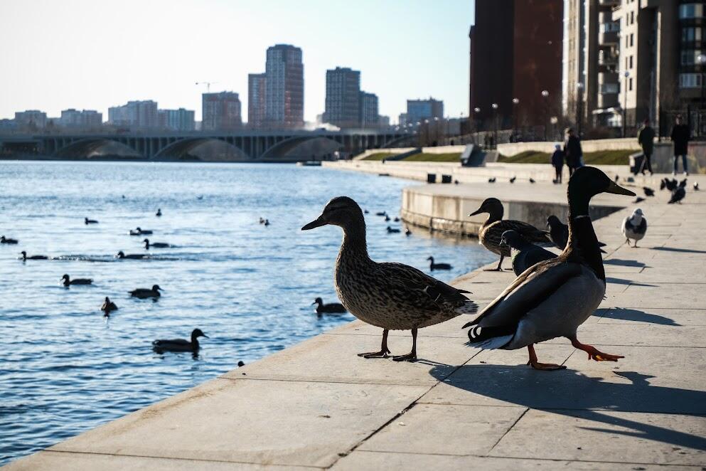 Фото: Саша Зубковский / It's My City
