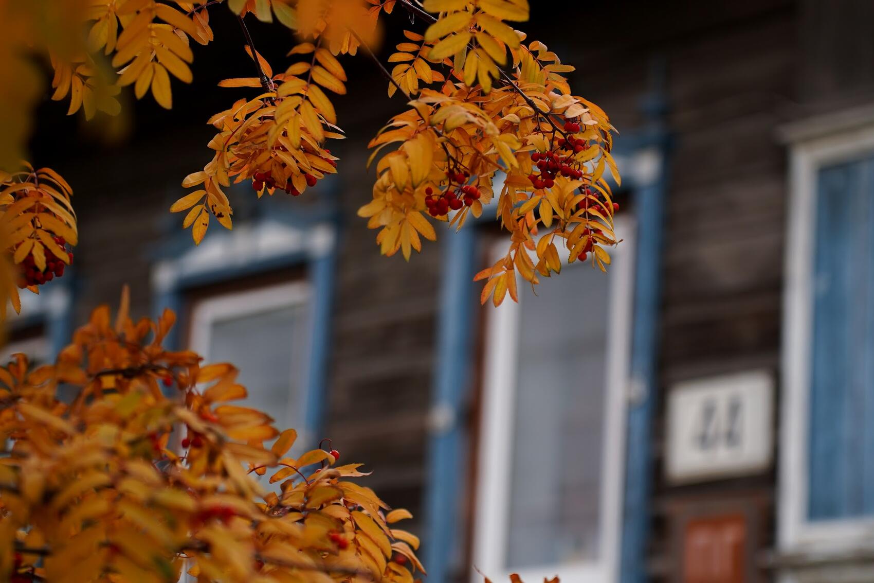 Фото: It's My City