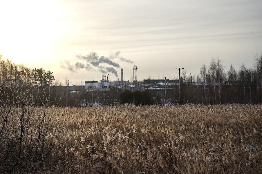 Фото: Арина Томашова / It’s My City