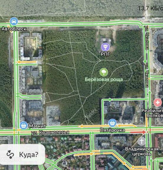 Березовая роща в Академическом сейчас. «Яндекс.Карты»