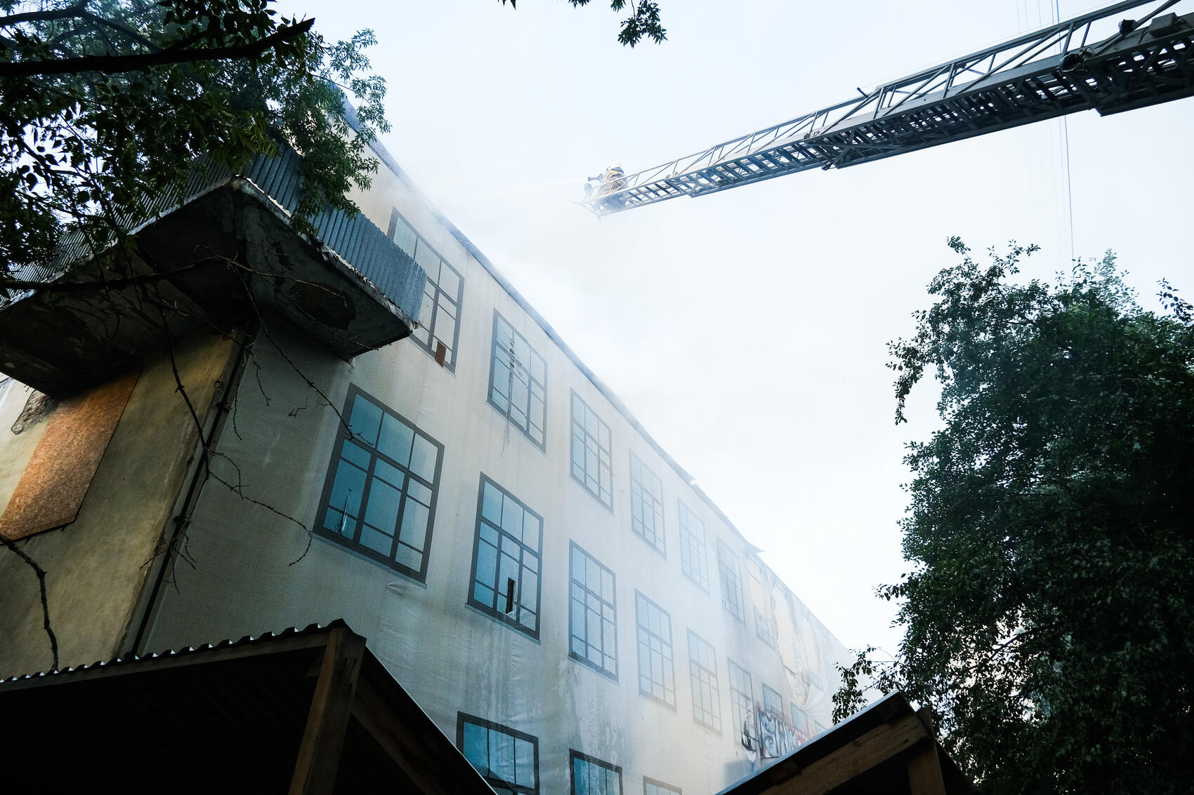 Фото: It's My City