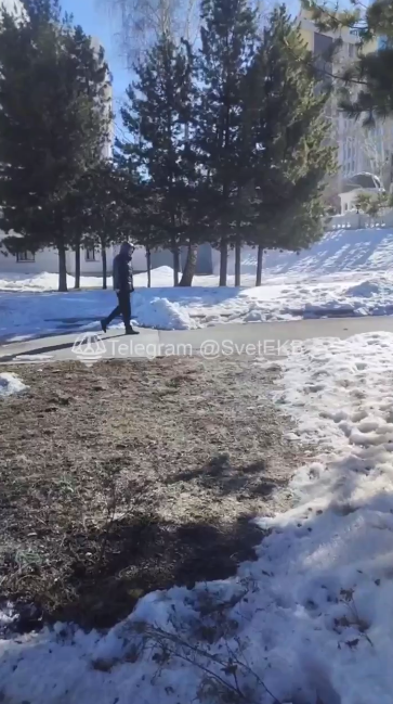 Фото: скриншот видео телеграм-канала «СВЕТ»