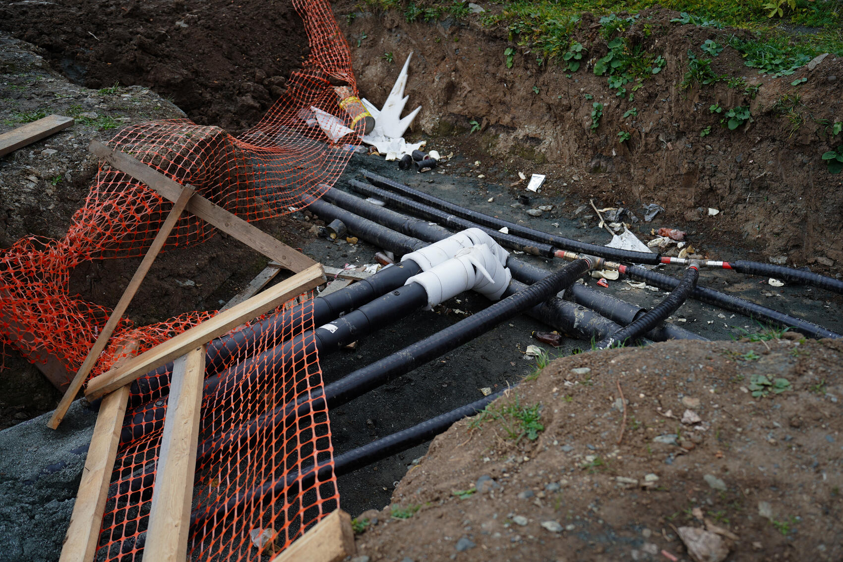 Фото: Елена Елизарова / It’s My City