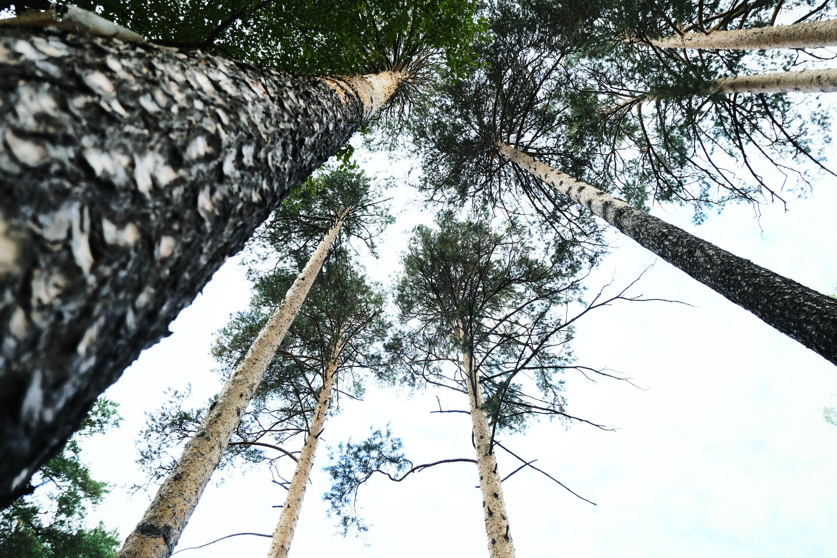 Фото: Саша Зубковский / It’s My City