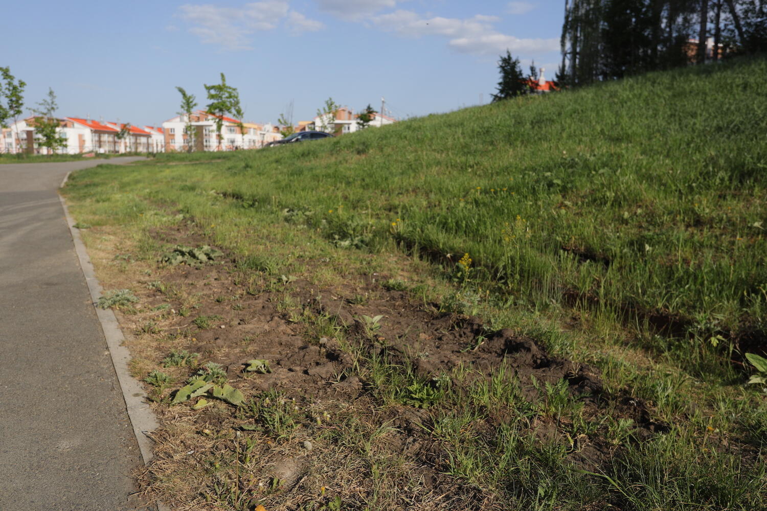 Фото: Марина Молдавская / It's My City