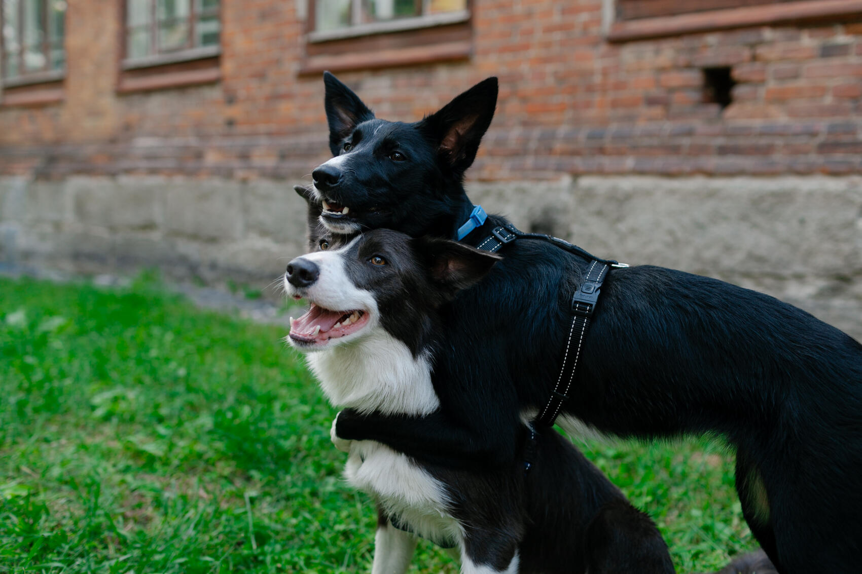 Фото: паблик-арт-программа «ЧО»