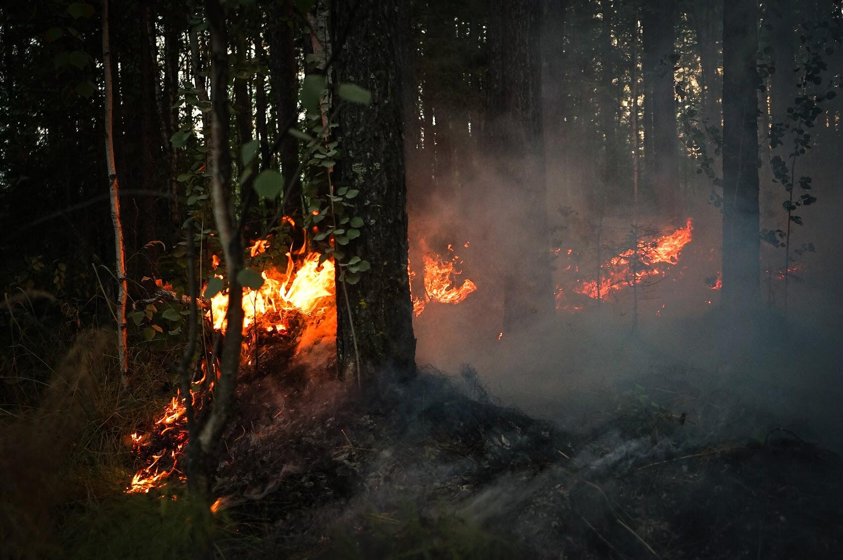 Фото: Арина Томашова / It's My City
