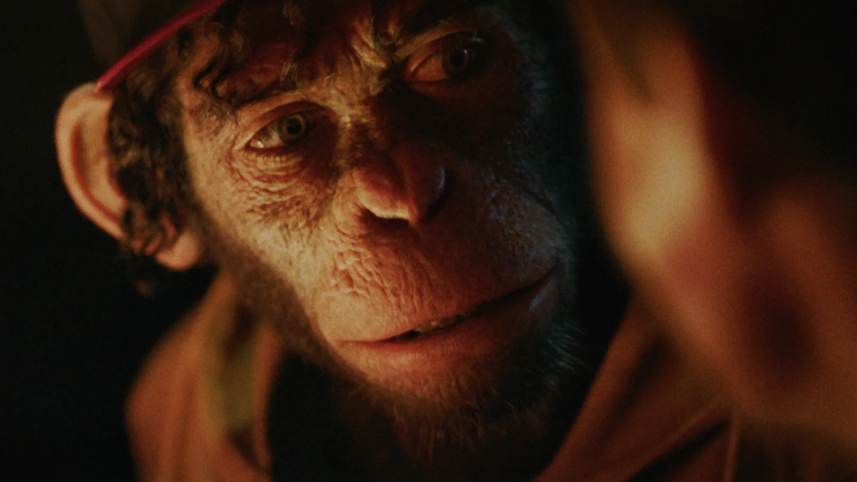 Кадр из фильма «Быть лучше: История Робби Уильямса»