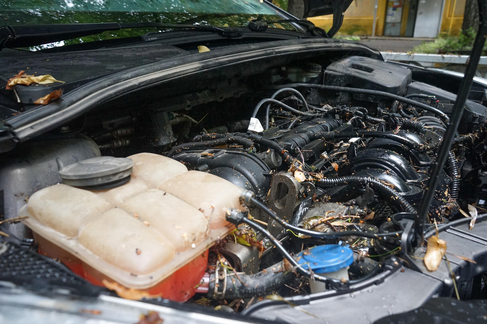 Фото из архива: Арина Томашова / It's My City