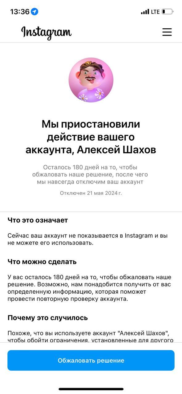 Фото: «Шахов на ветке»