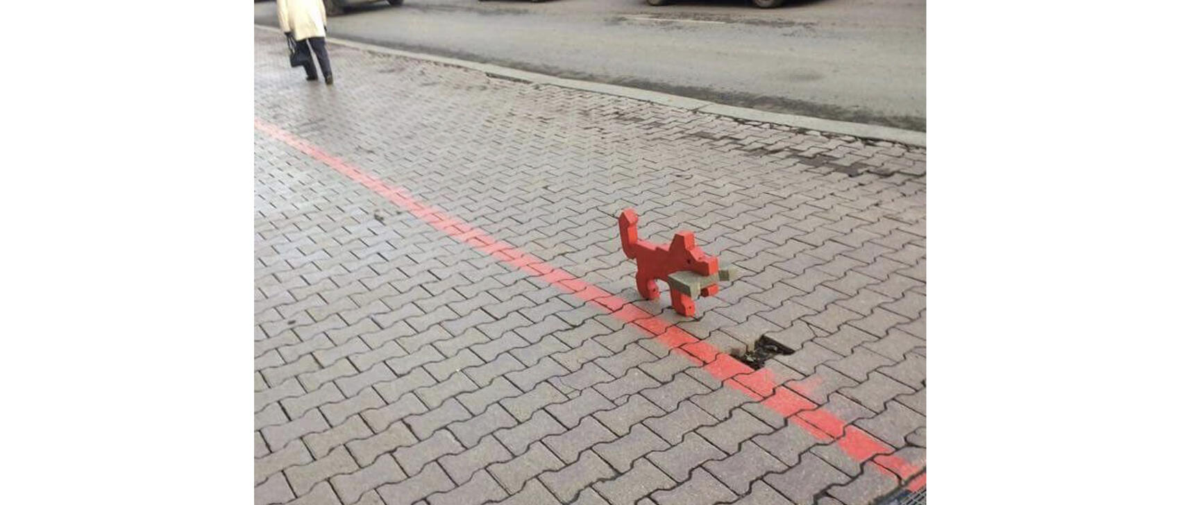 Фото: соцсети Сергея Лаушкина