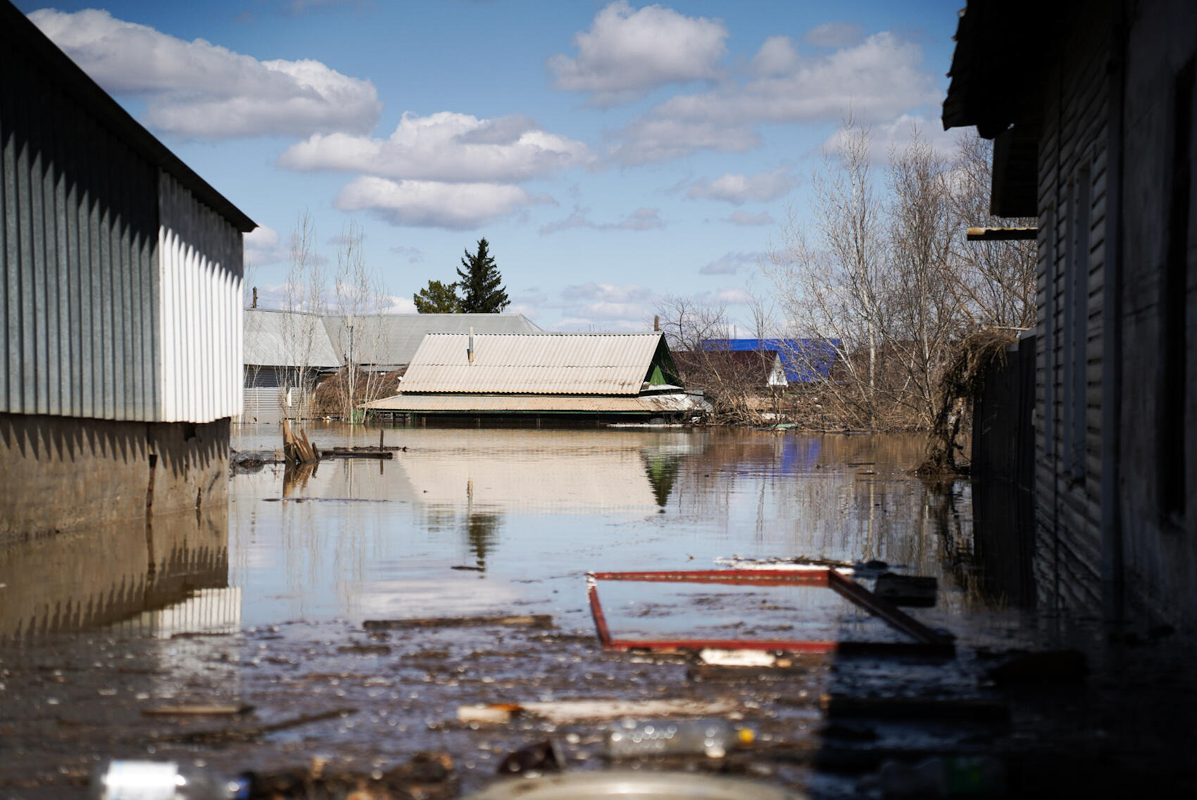 Фото: Елена Елизарова / It's My City