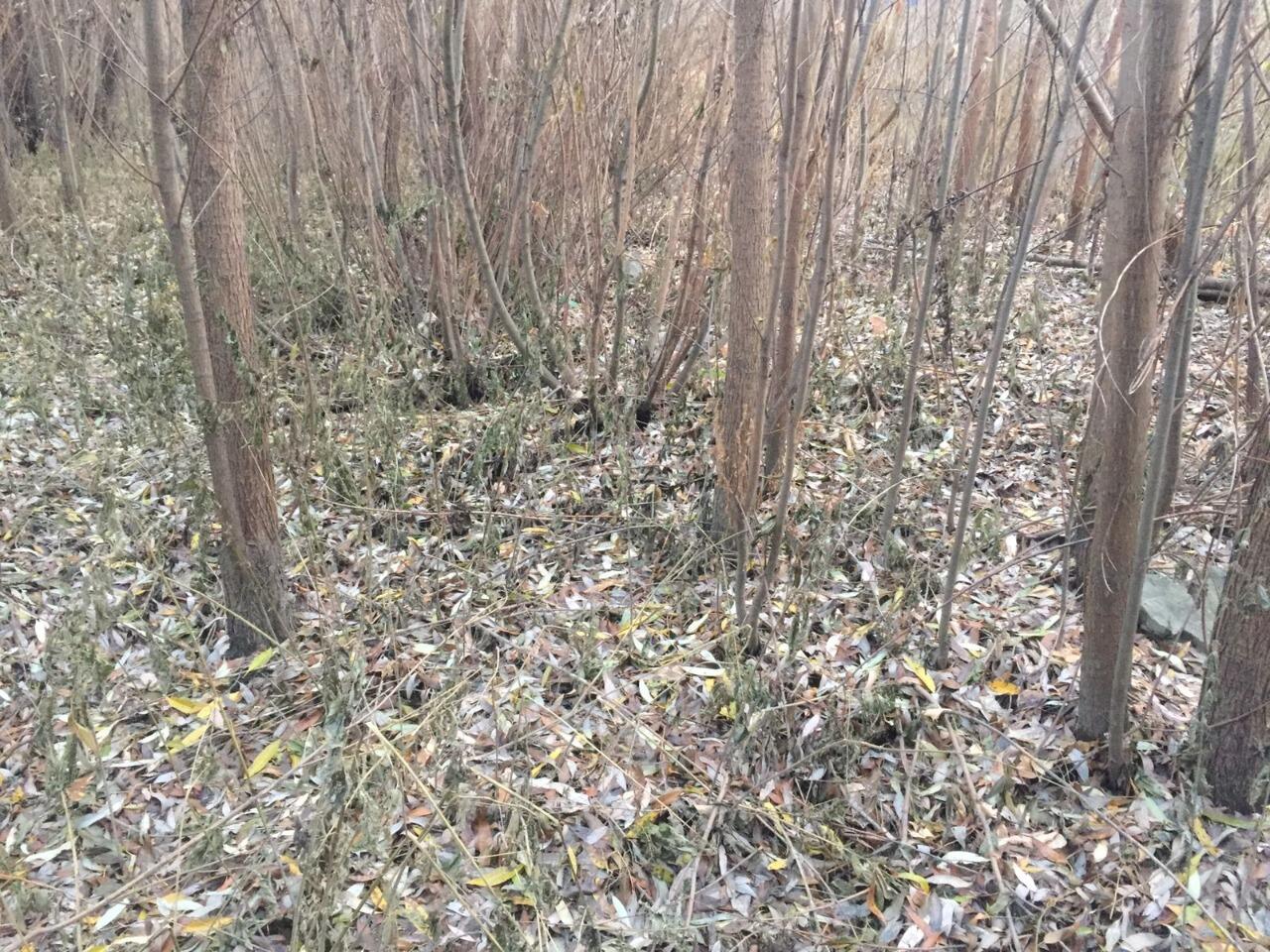 Фото: СК РФ по Свердловской области