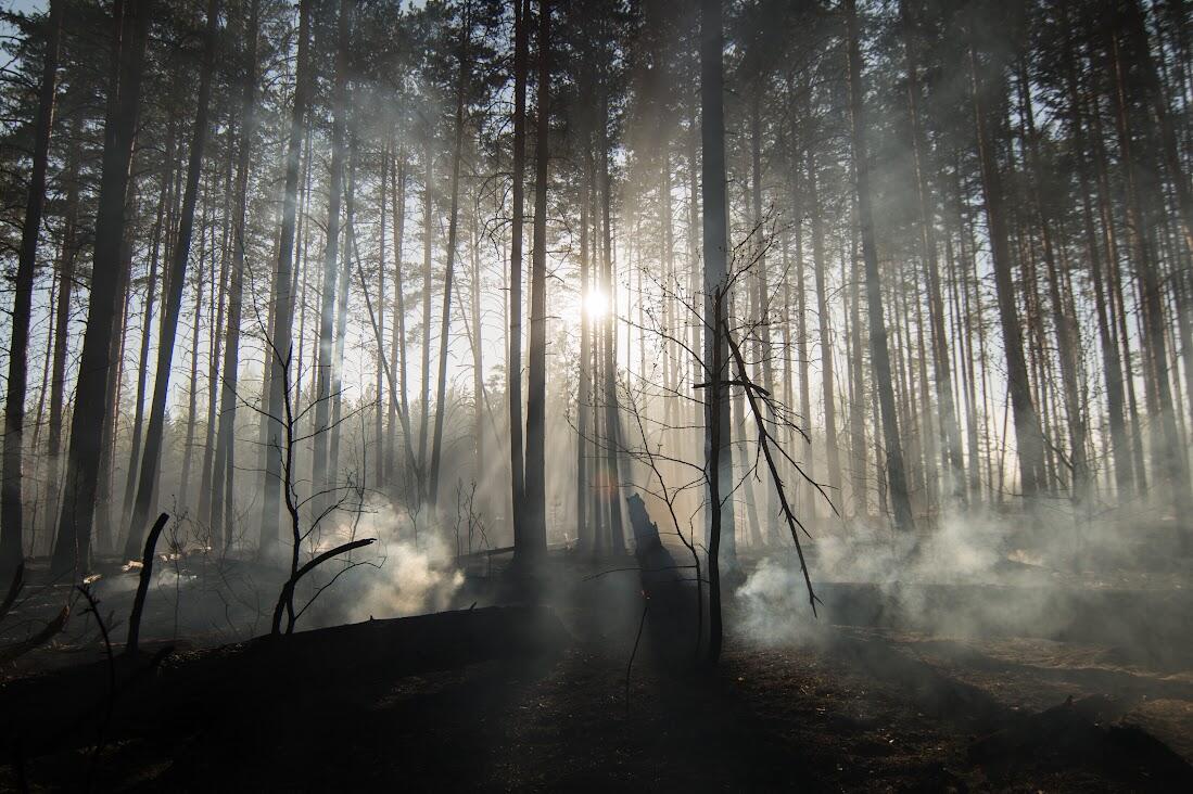 Фото: Елена Елизарова / It's My City