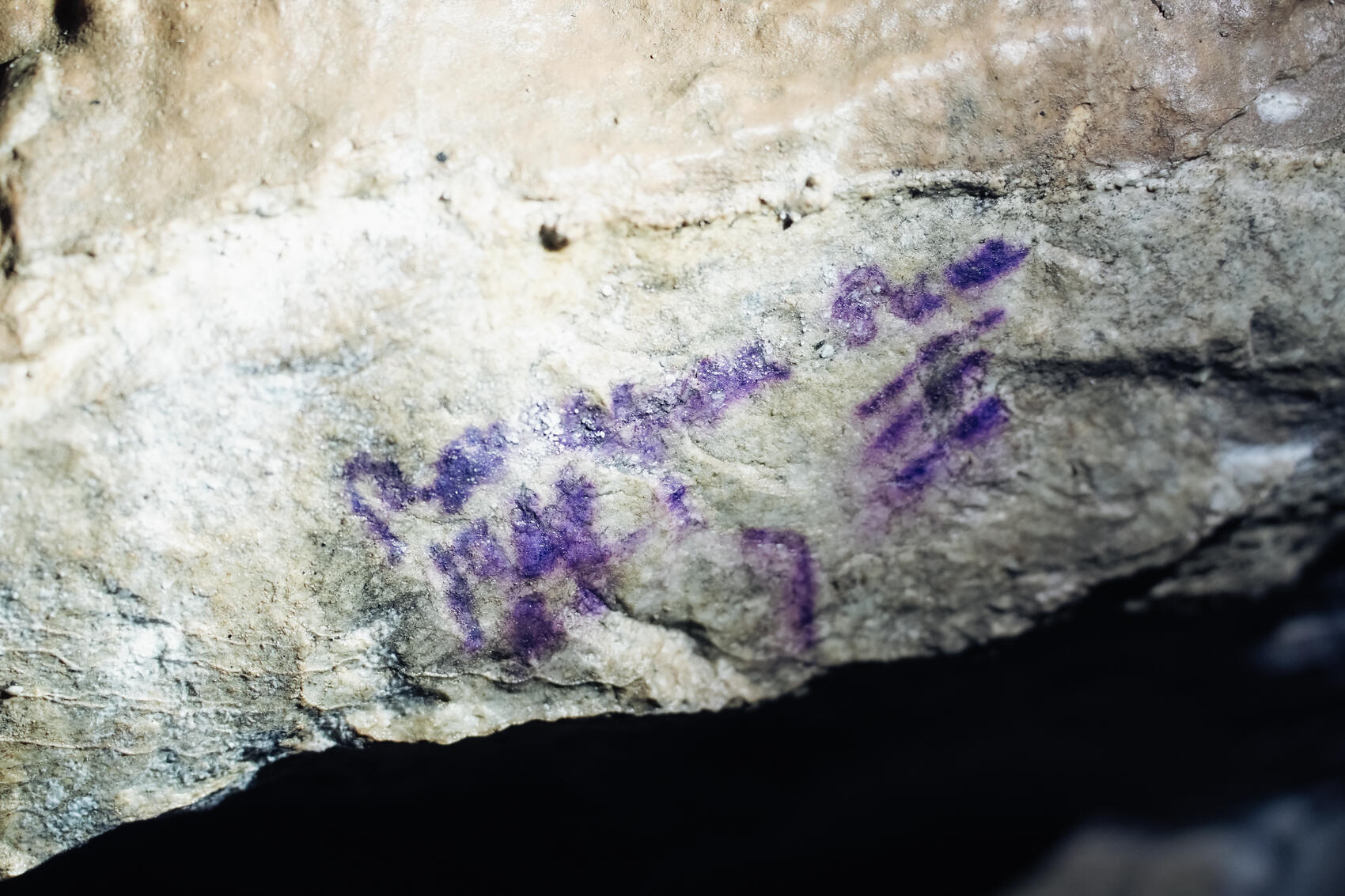 Фото: Елена Елизарова / It’s My City