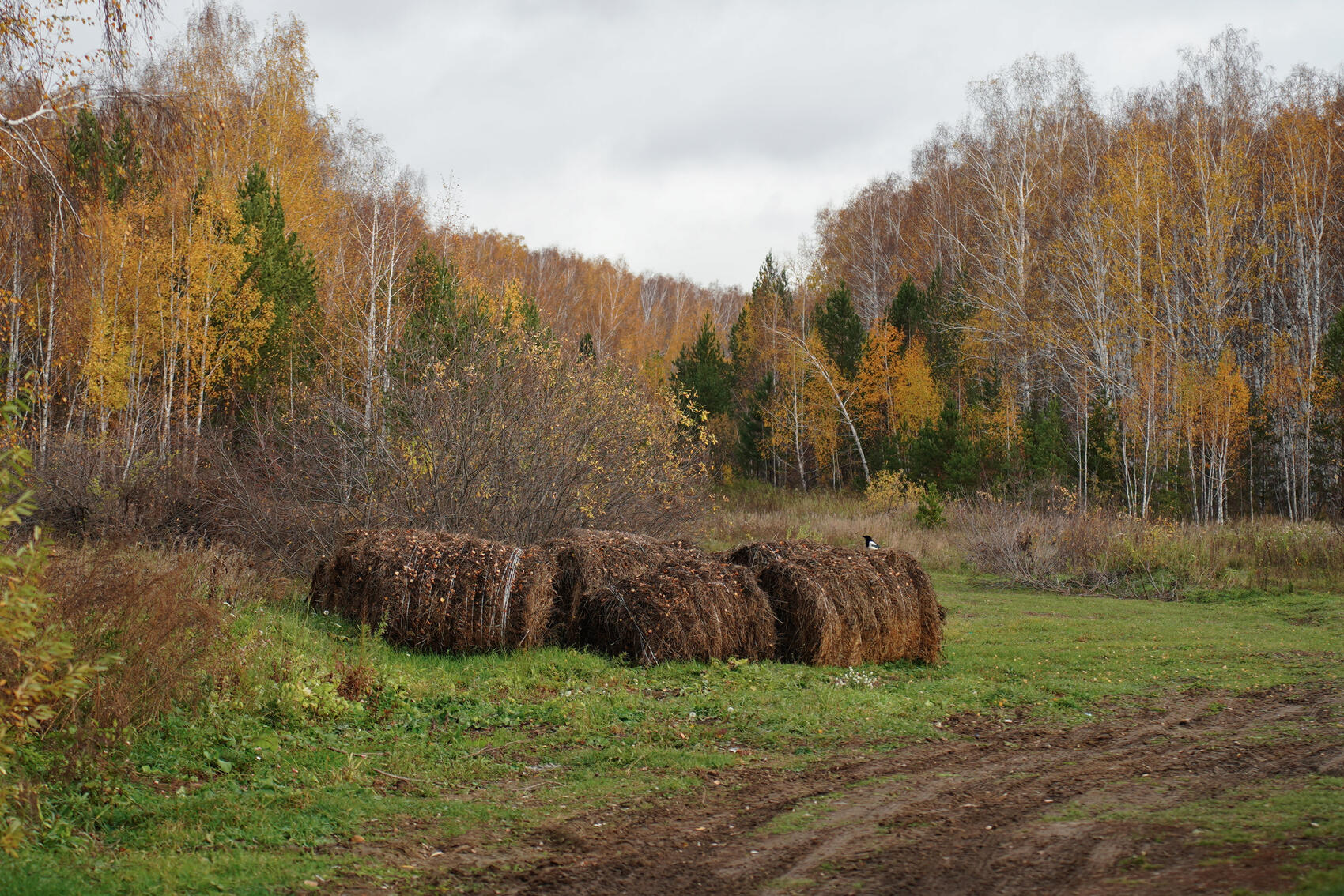Фото: Елена Елизарова / It’s My City