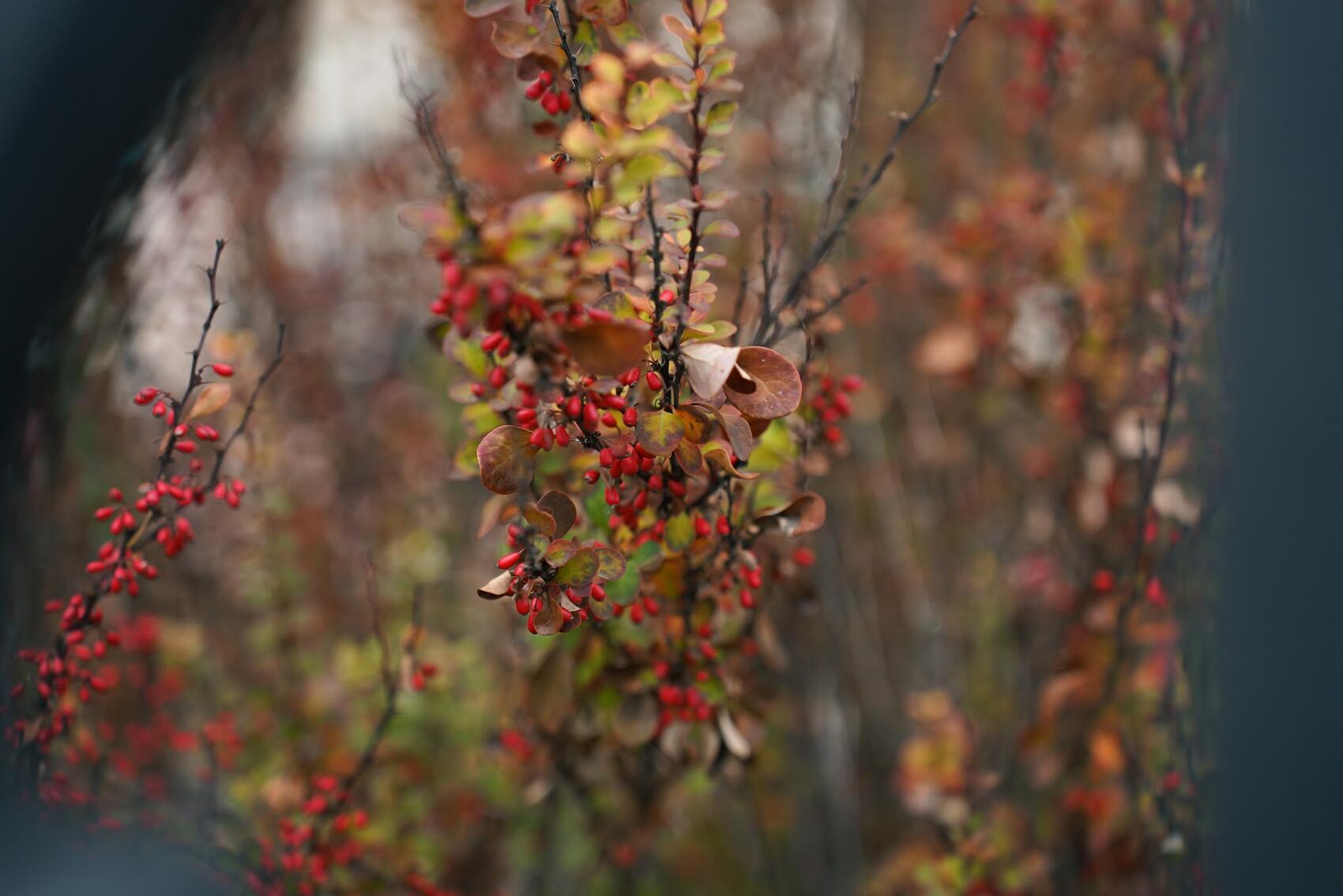 Фото: It's My City