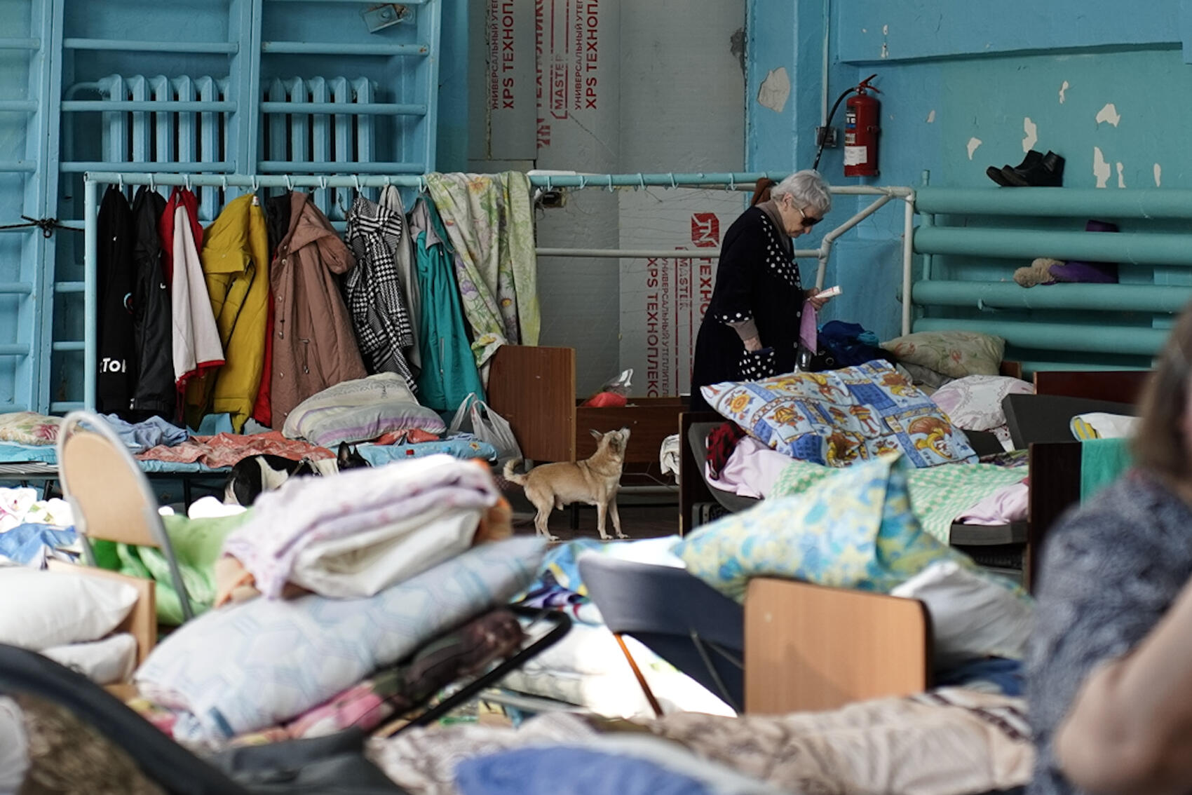 Фото: Елена Елизарова / It's My City