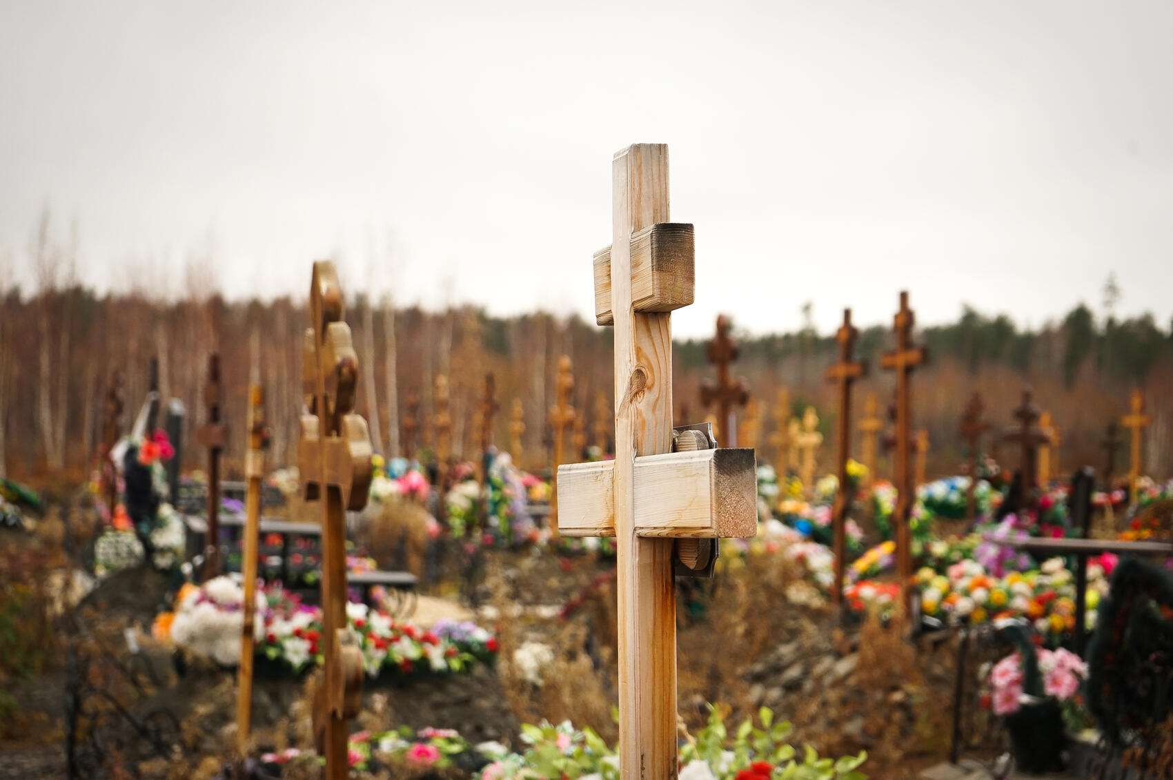 Фото: It's My City