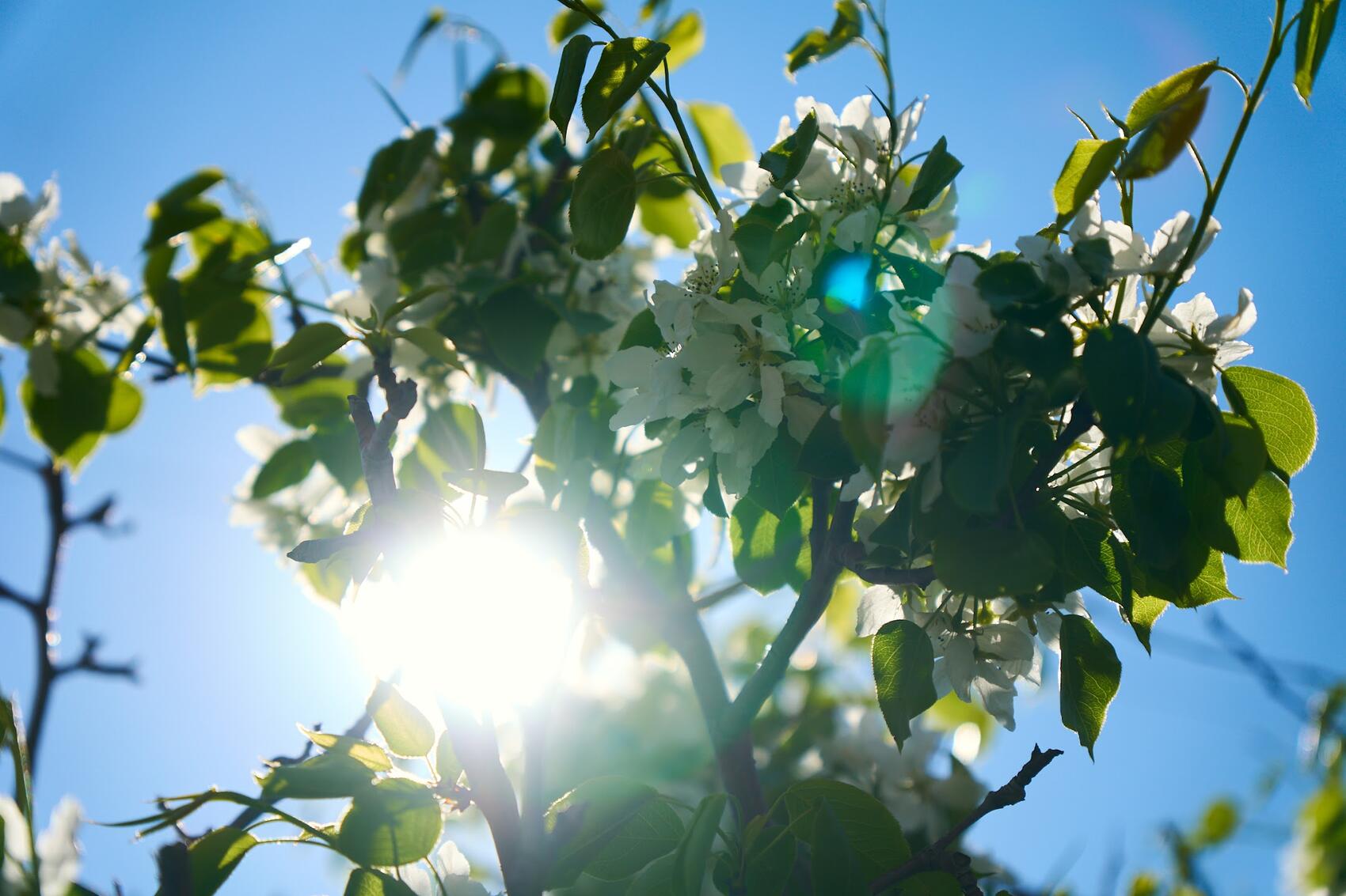 Фото: It's My City