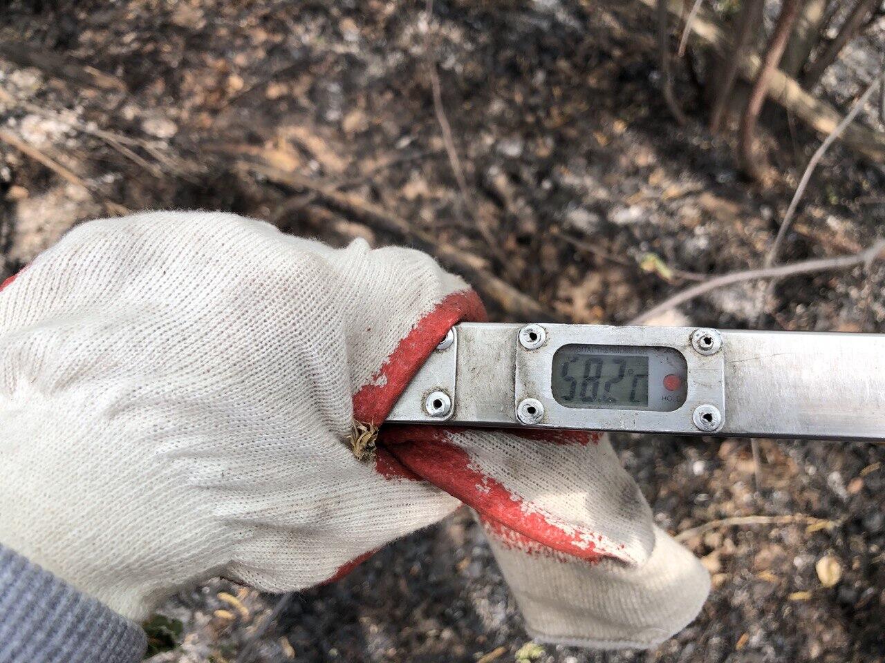 Температура земли возле очага. Фото: Мария Рубинина / It’s My City