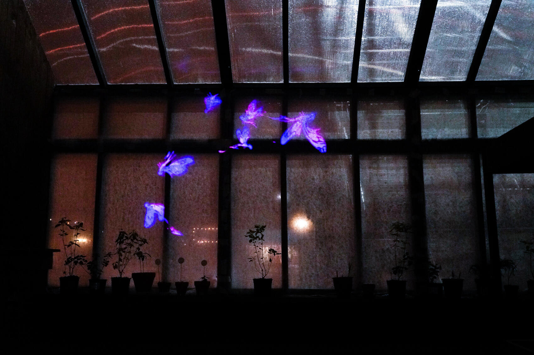 Фото: Арина Томашова / It’s My City