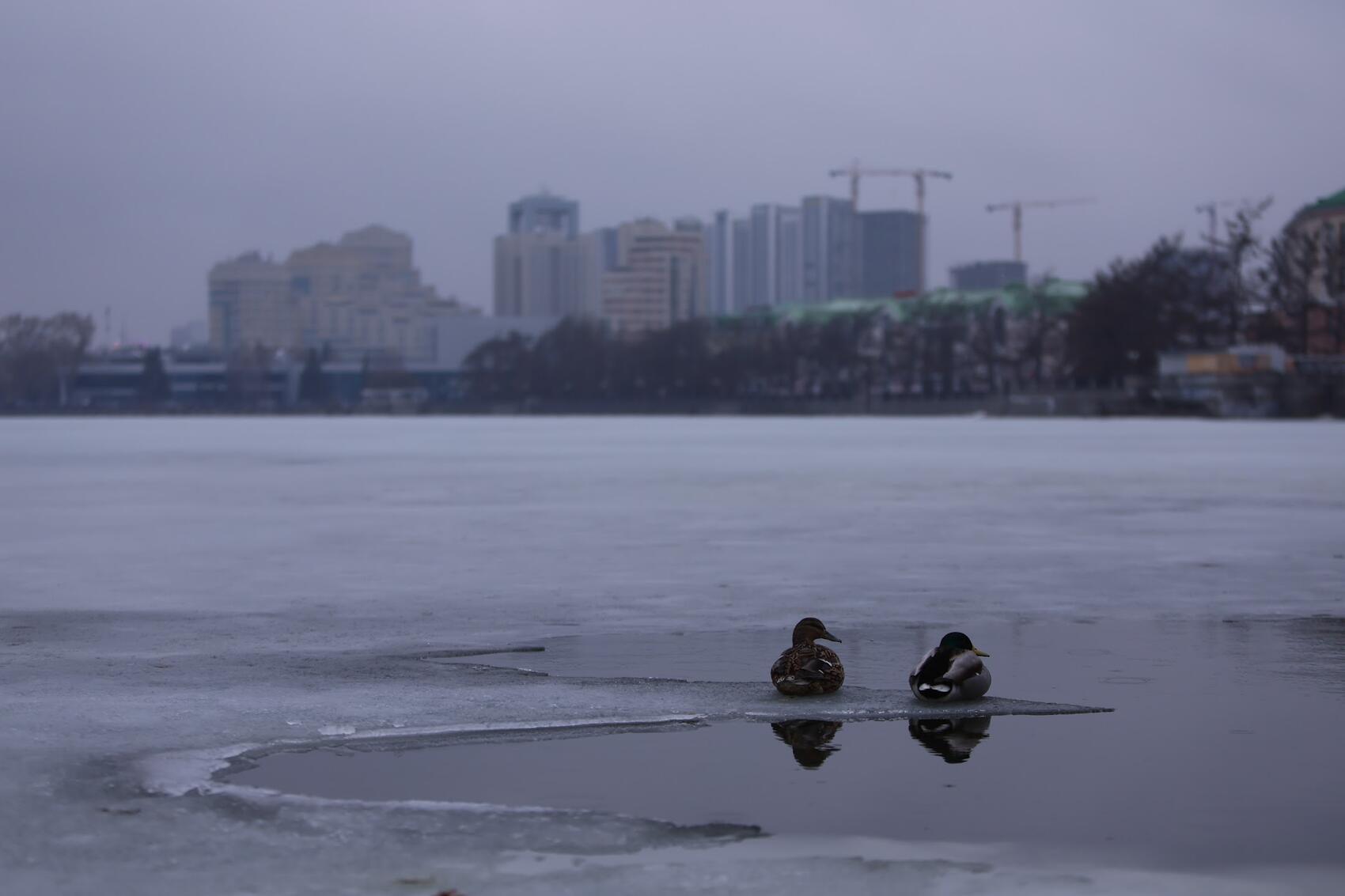 Фото: It's My City