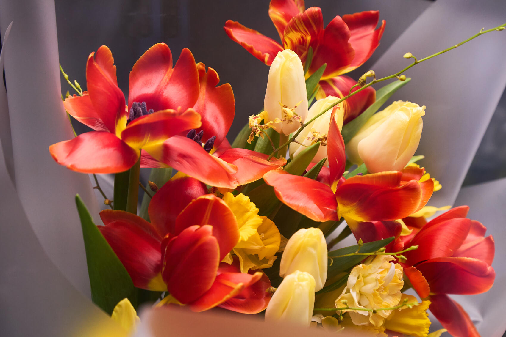 Фото: It's My City