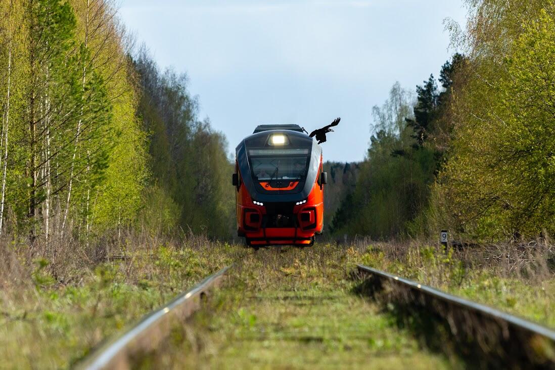 Фото: Илья Вага / It's My City