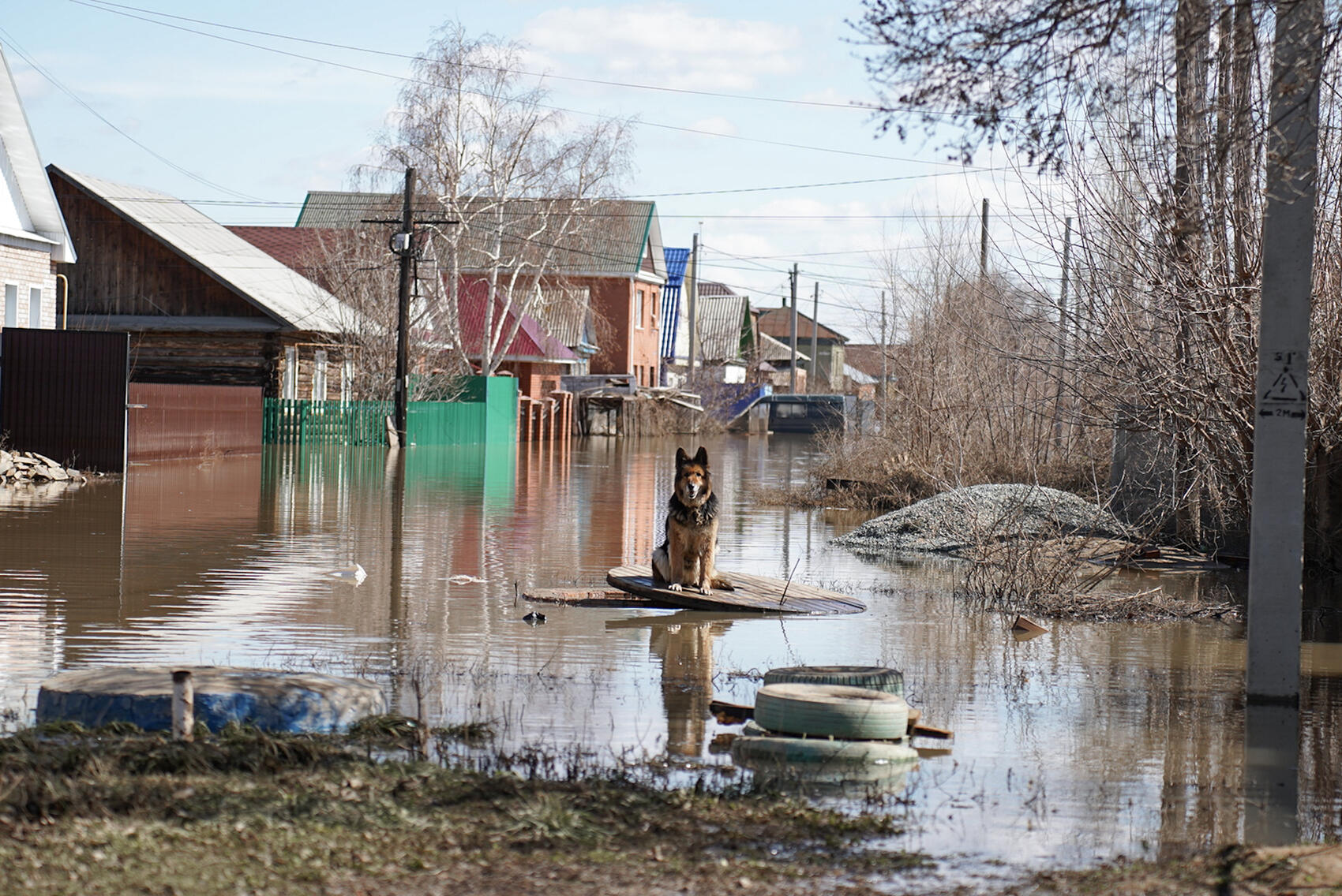 Фото: Елена Елизарова / It's My City