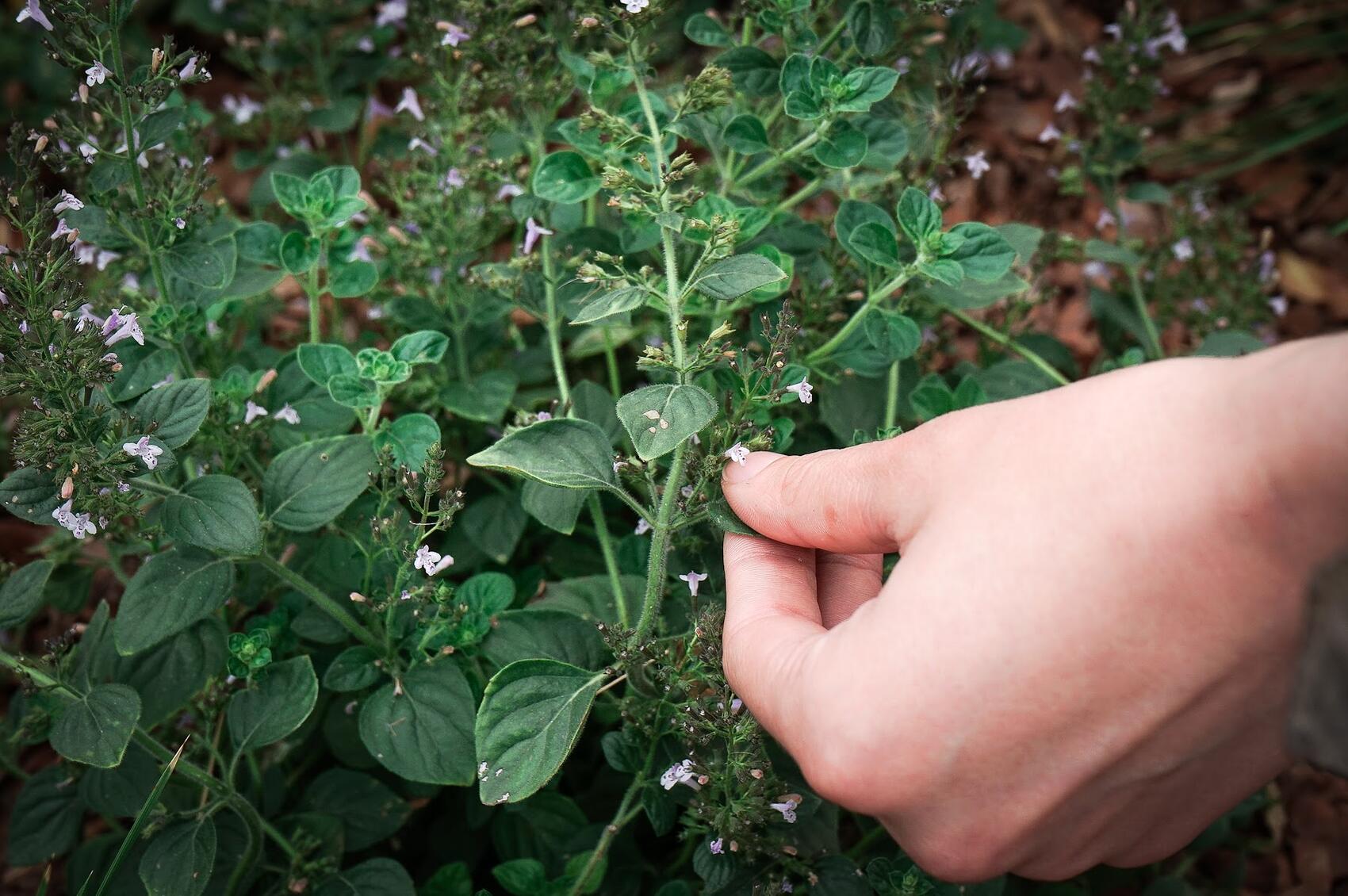 Фото: Арина Томашова / It's My City