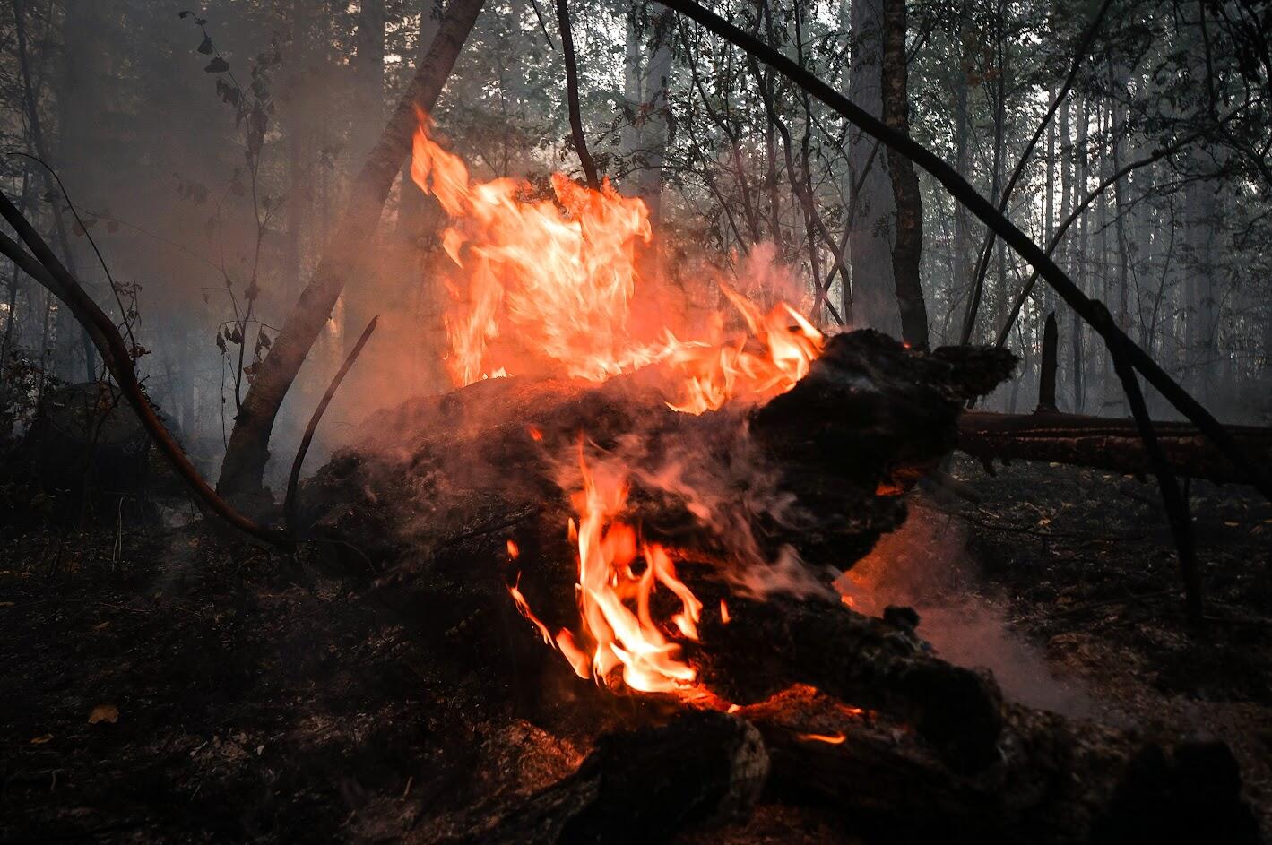 Фото: Арина Томашова / It's My City