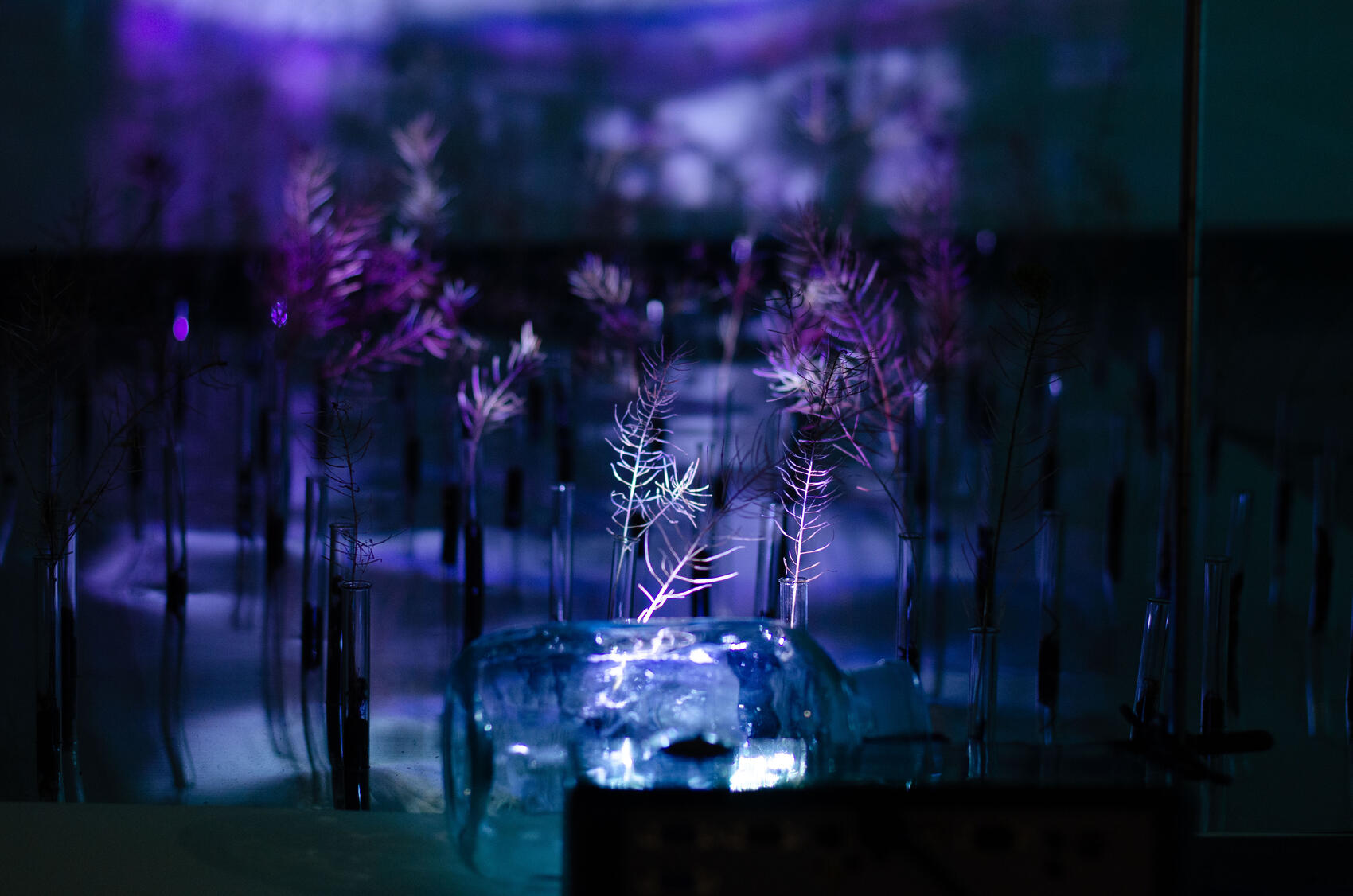 Фото: Евгения Кобеева / It’s My&nbsp;City