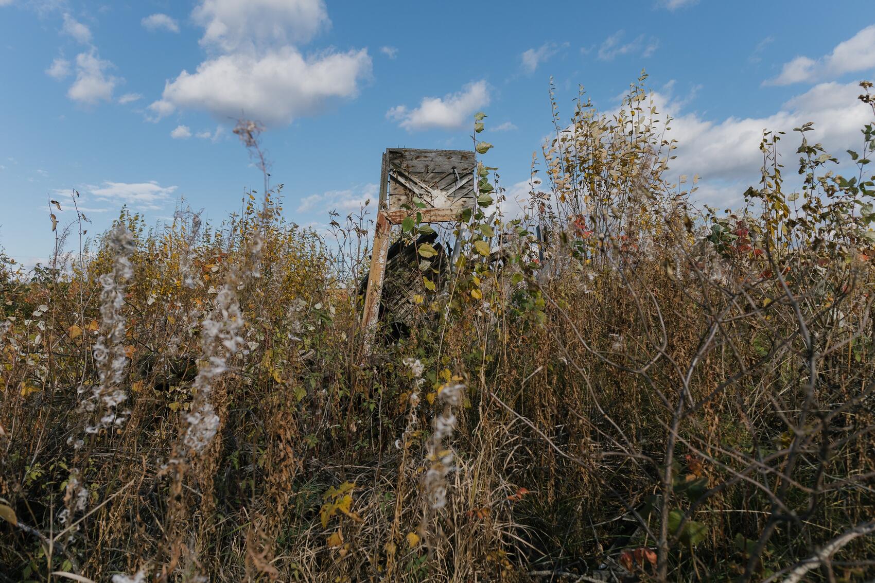 Так прошлое зарастает бурьяном