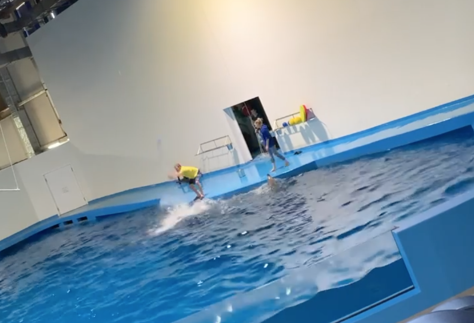 Стоп-кадр видео, на котором усмотрели «избиение дельфинов». pavel.drop / Instagram