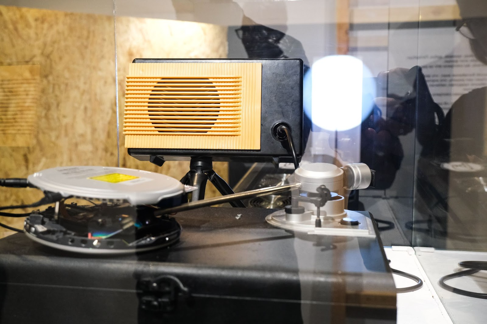 Фото: Саша Зубковский / It's My City