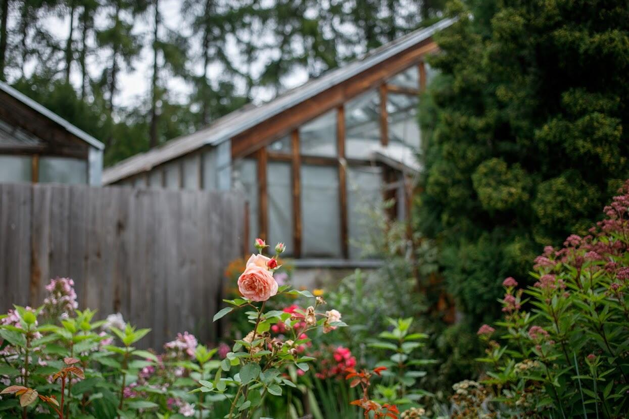 Фото: Марина Молдавская / It's My City