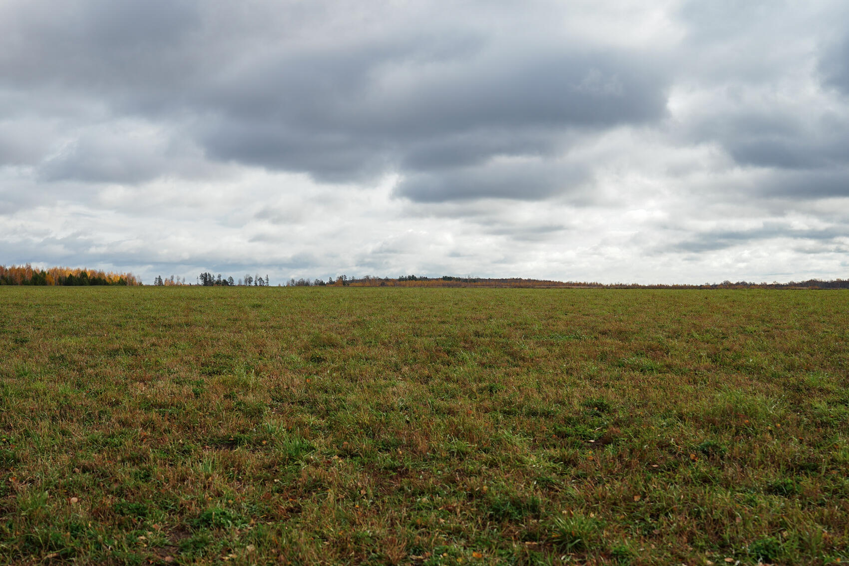 Фото: Елена Елизарова / It’s My City