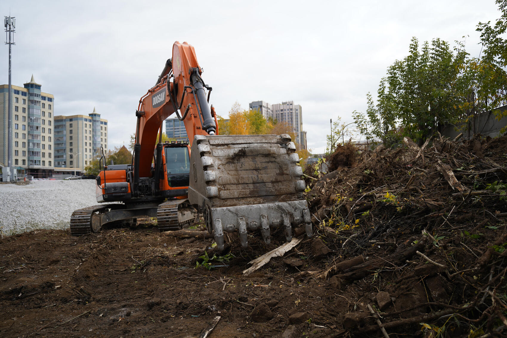 Фото: Елена Елизарова / It’s My City