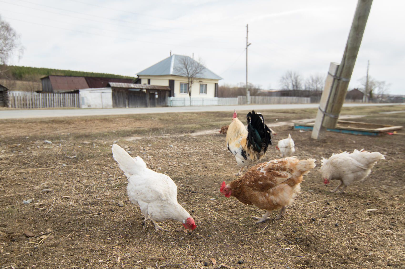 Фото: Елена Елизарова / It’s My City