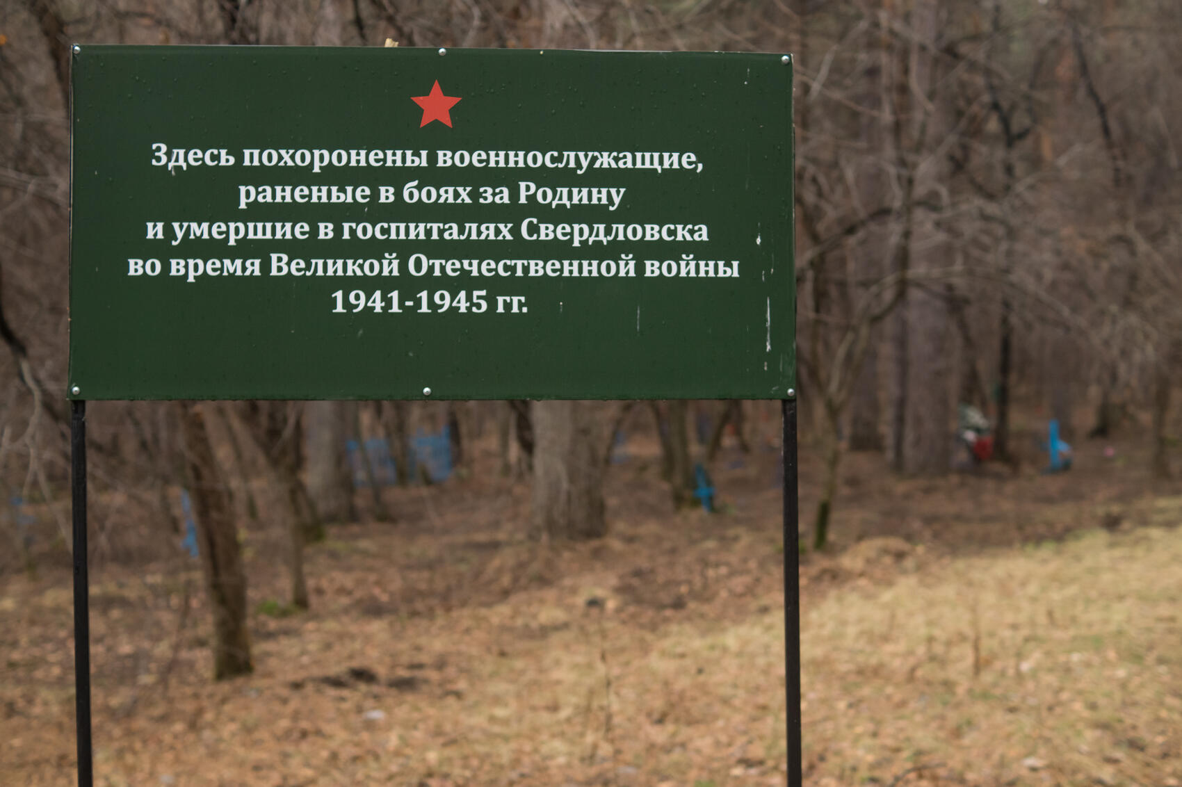 Фото: Елена Елизарова / It's My City