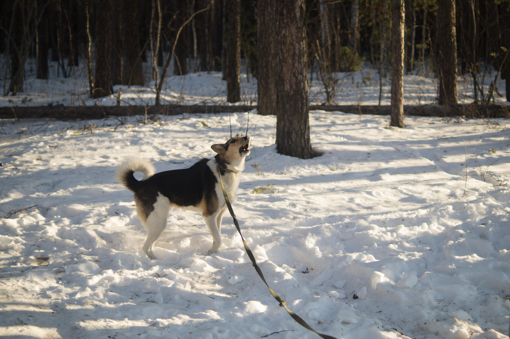 Фото: Елена Елизарова / It’s My&nbsp;City