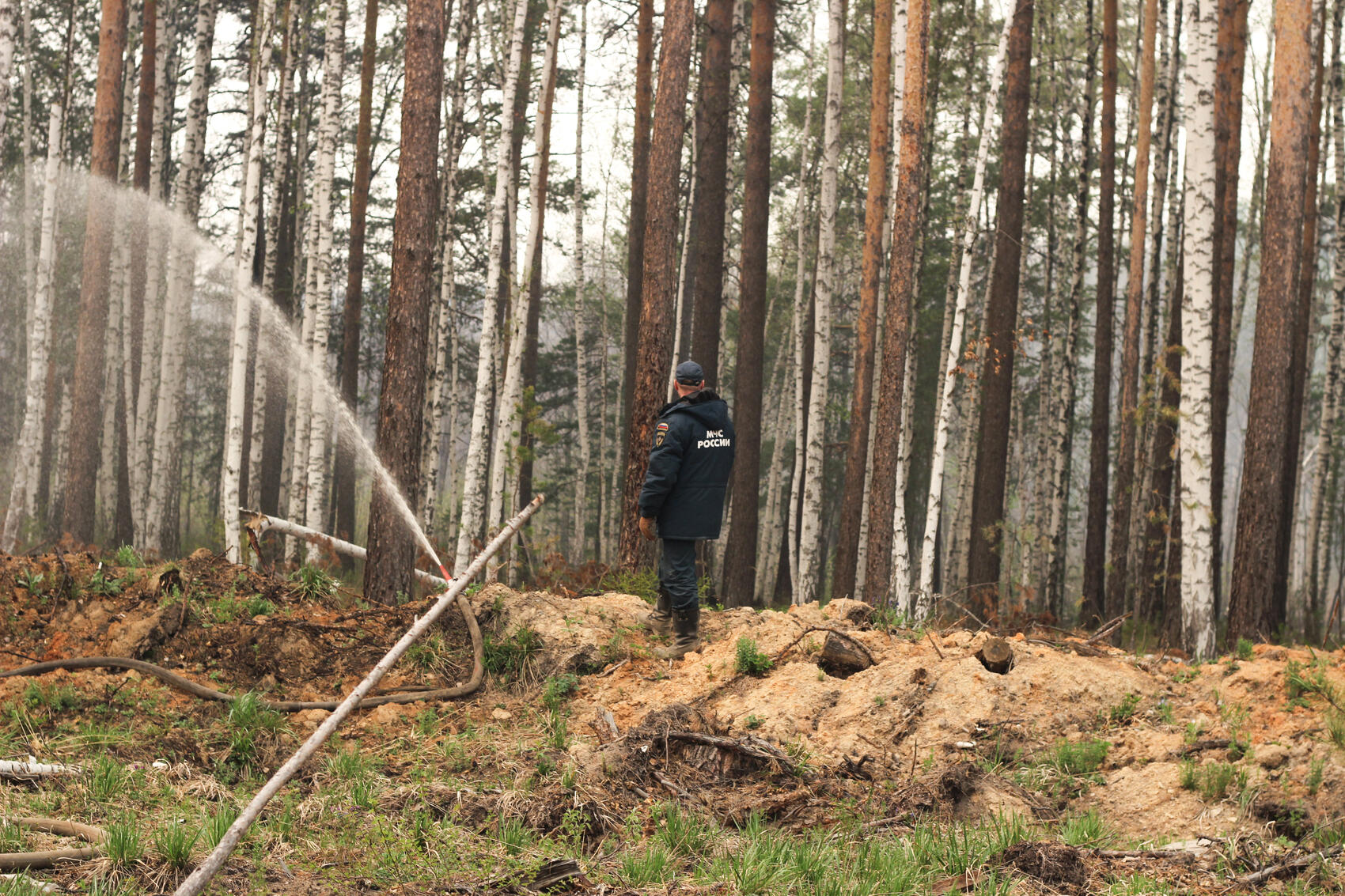 Владимир Пислигин для It's My City