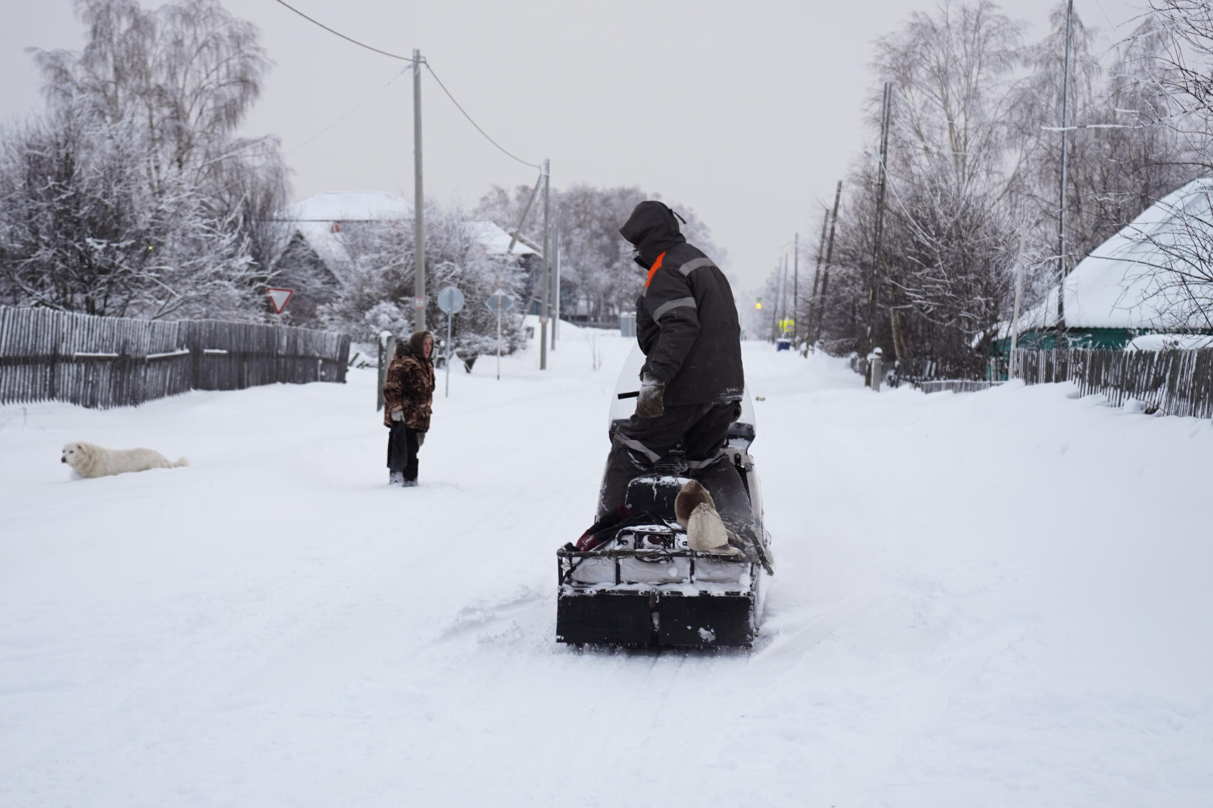 Фото: Елена Елизарова / It's My City
