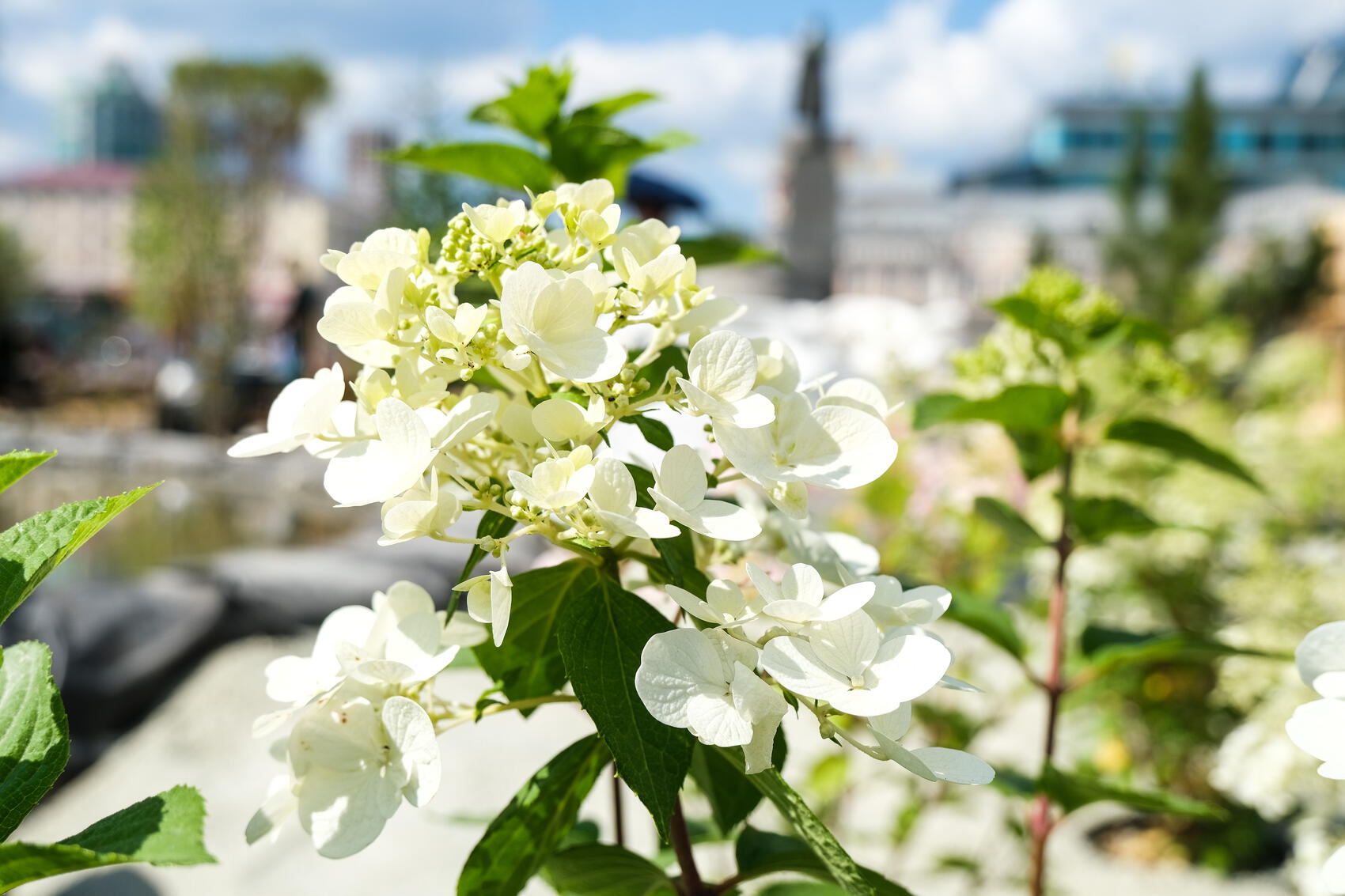 Фото: Саша Зубковский / It's My City