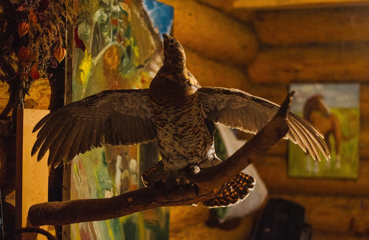 Фото: It's My City